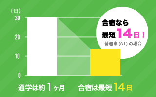 通学は約1ヶ月ですが、合宿なら最短14日！※普通車（AT）の場合