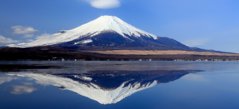 静岡の合宿免許が人気！その魅力をご紹介！