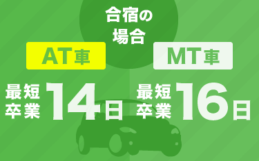 免許取得までの全体の流れ