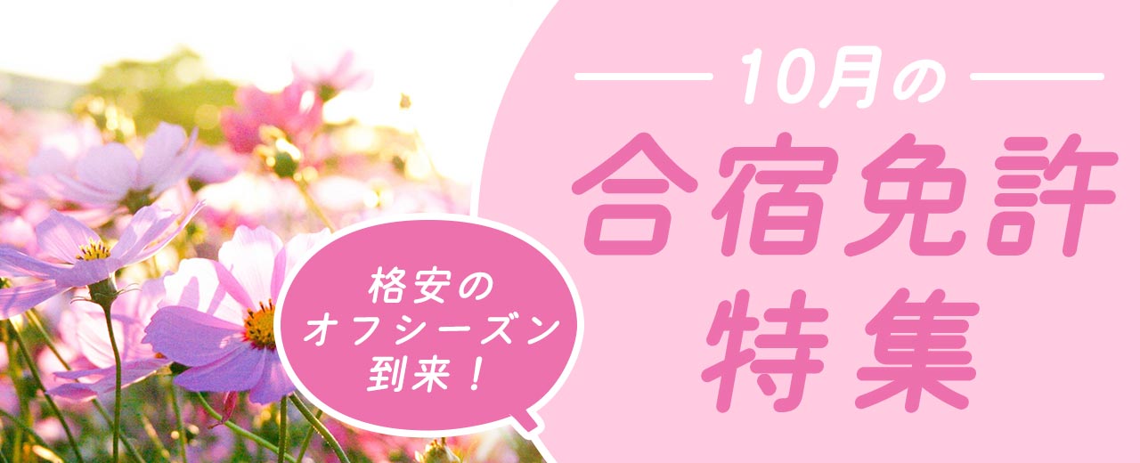 2024年10月の合宿免許特集【厳選24万円以下】