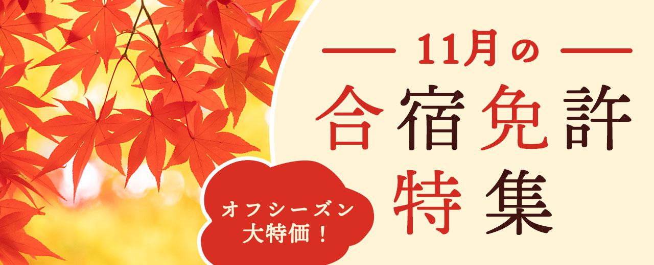 2024年11月の合宿免許特集【厳選24万円以下】