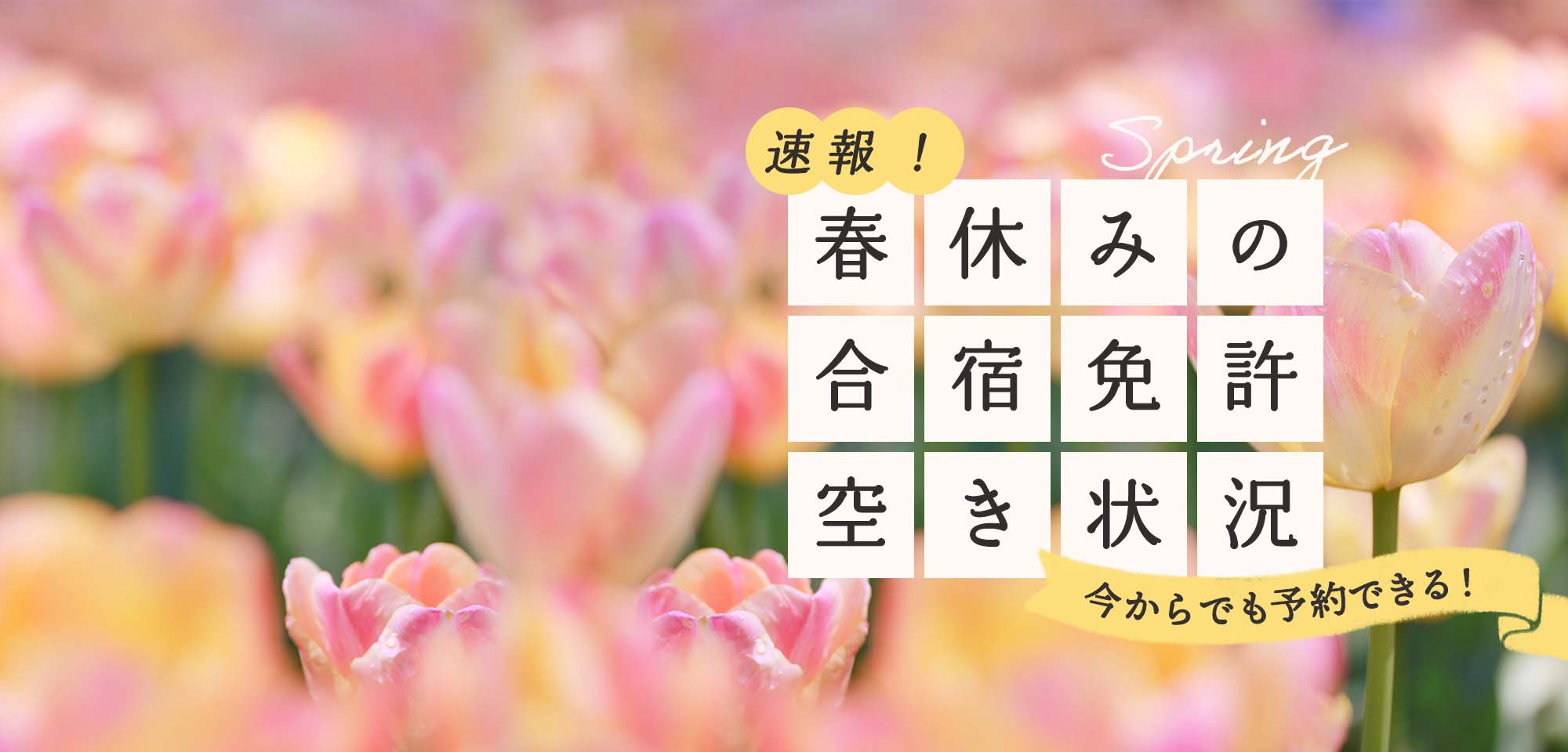 速報!春休みの空き状況