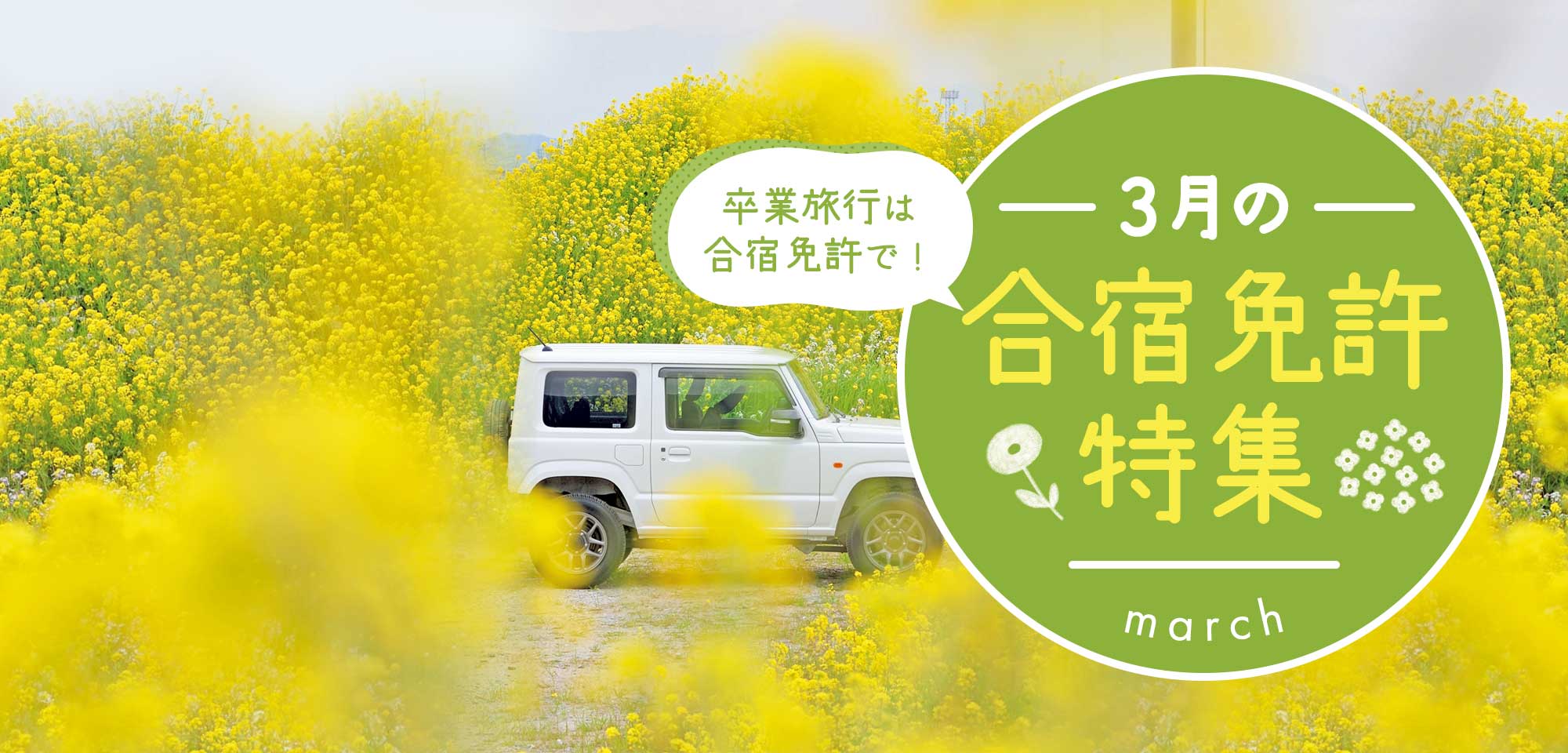 3月の合宿免許特集