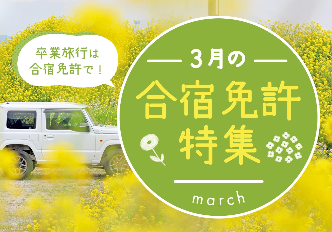 3月の合宿免許特集