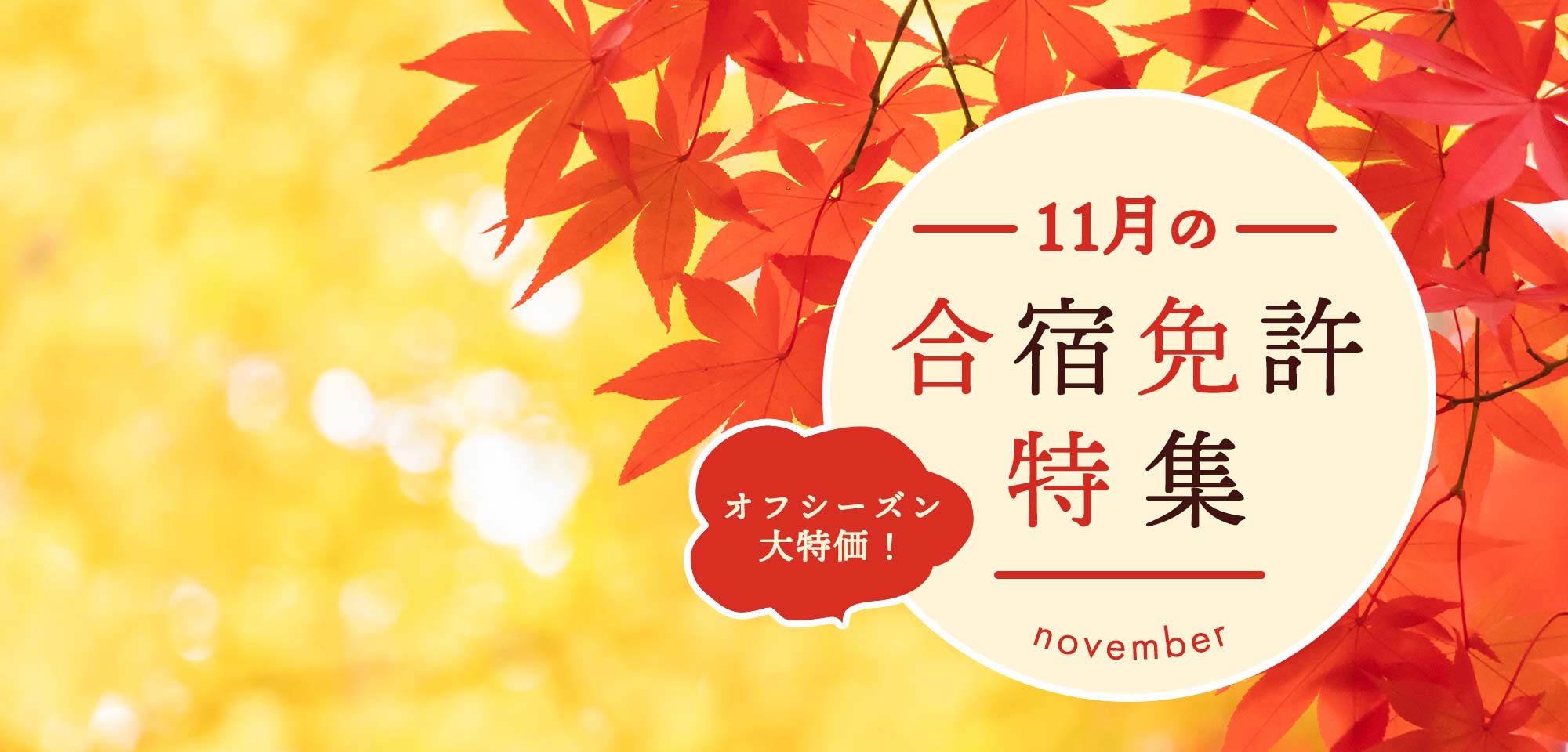 11月の合宿免許特集