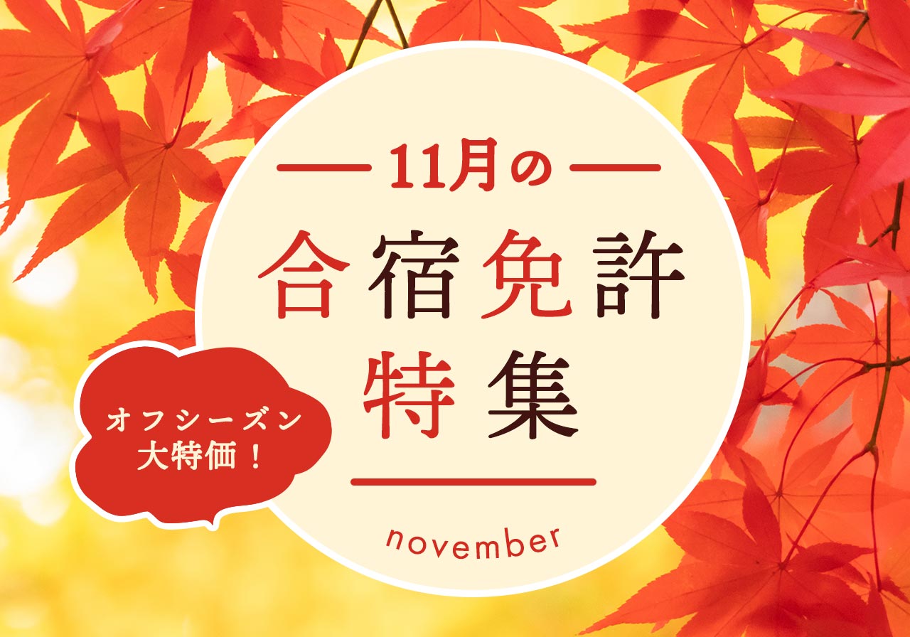 11月の合宿免許特集