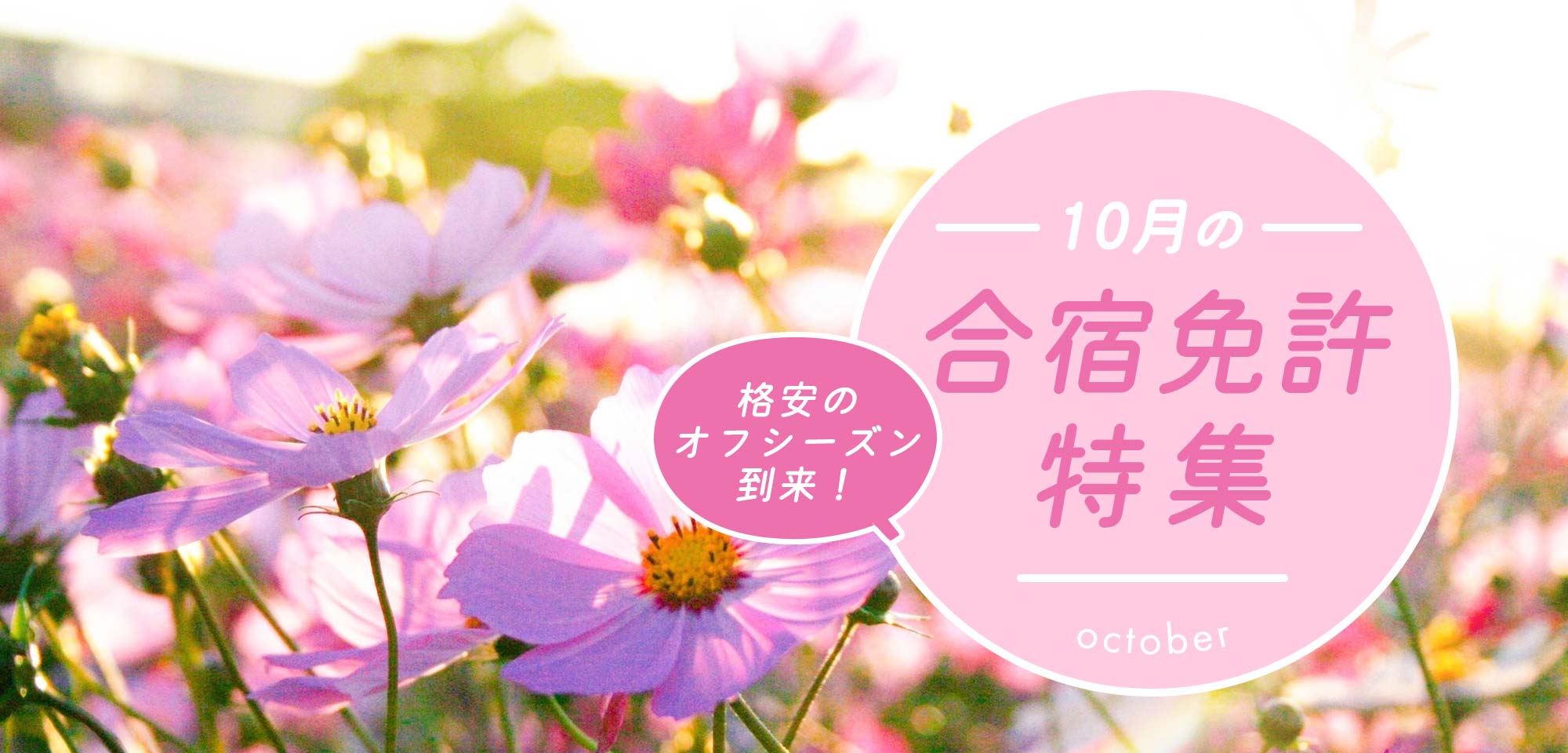 10月の合宿免許特集