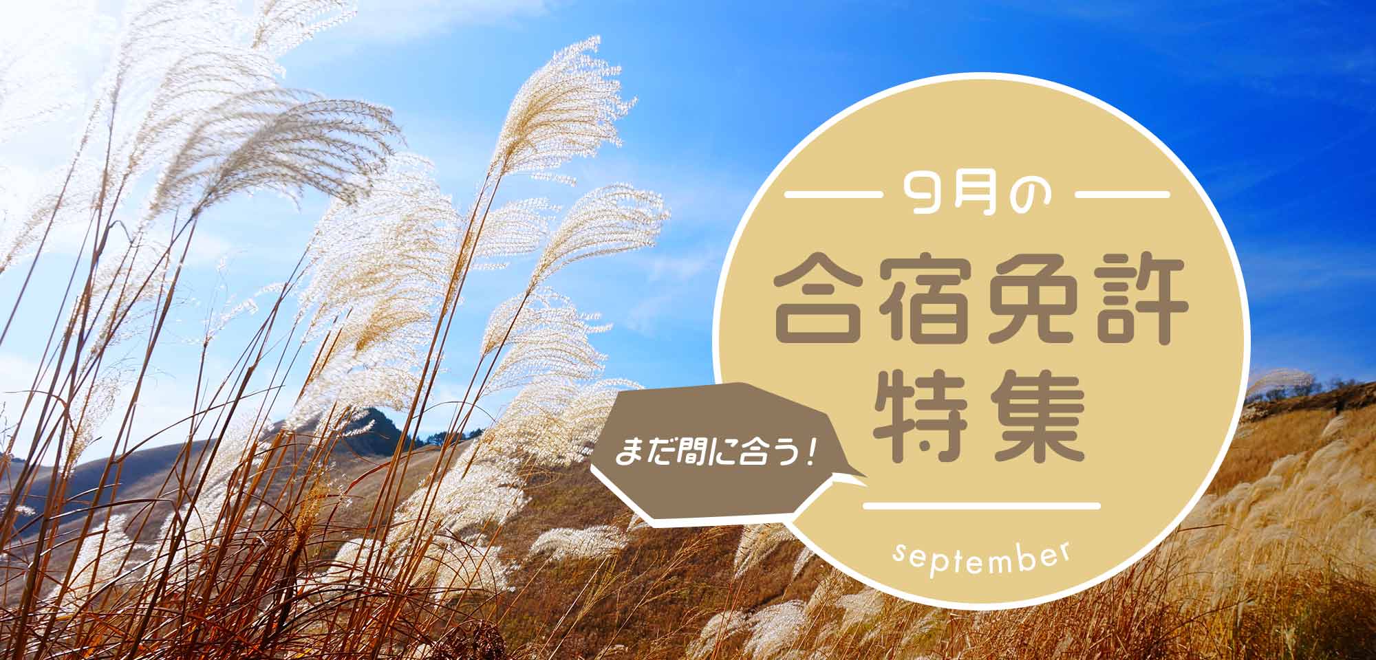 9月の合宿免許特集