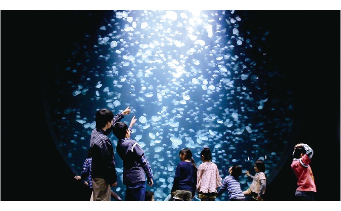 鶴岡市立加茂水族館