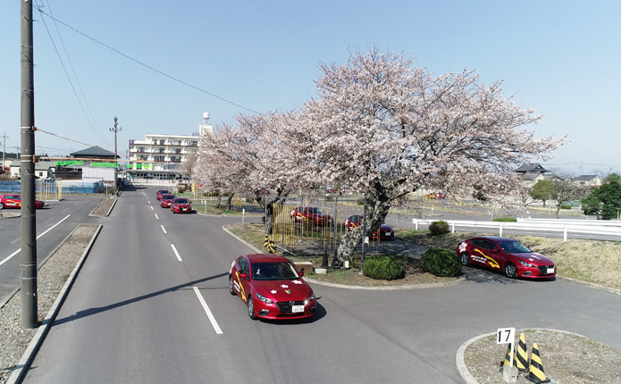 桜の咲く那須モータースクールの教習コース