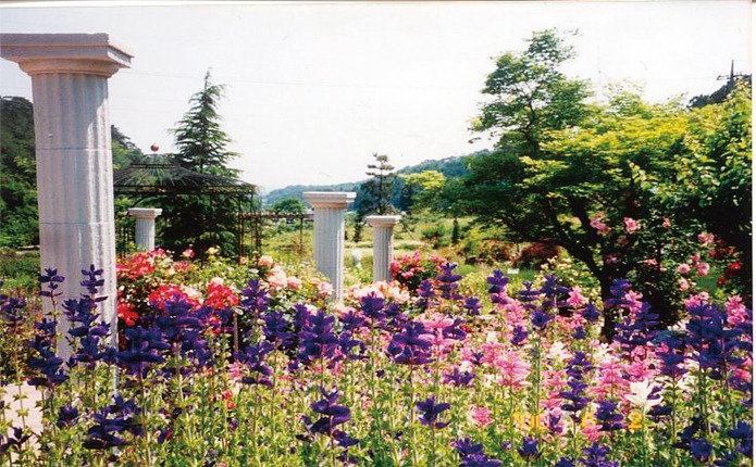 観光スポットの6月の森（ハーブ園）