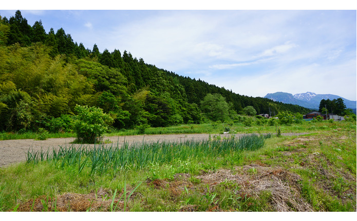 糸魚川自動車学校