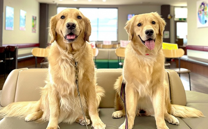 看板犬「ララ＆ハナ」