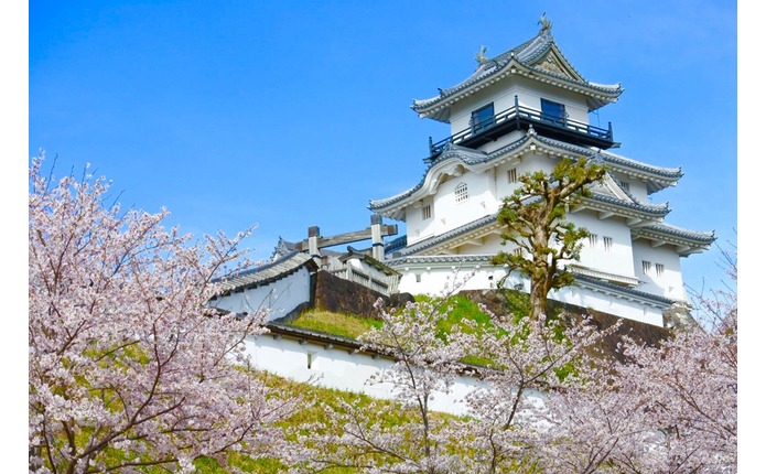 掛川自動車学校