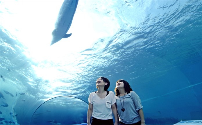 能登島水族館