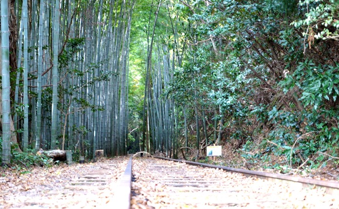 幻想的な観光スポット「旧国鉄倉吉線廃線跡」