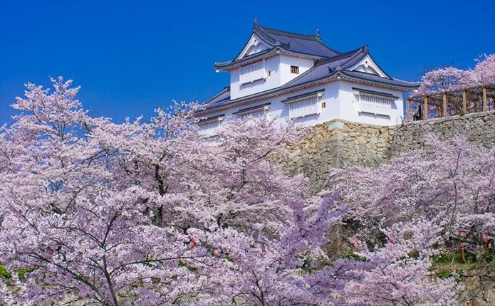 岡山県・沼自動車学校