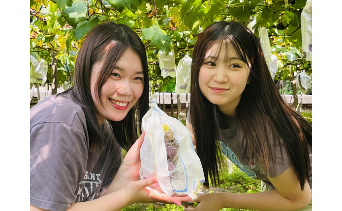 空き時間に、ぶどう狩りに挑戦!
