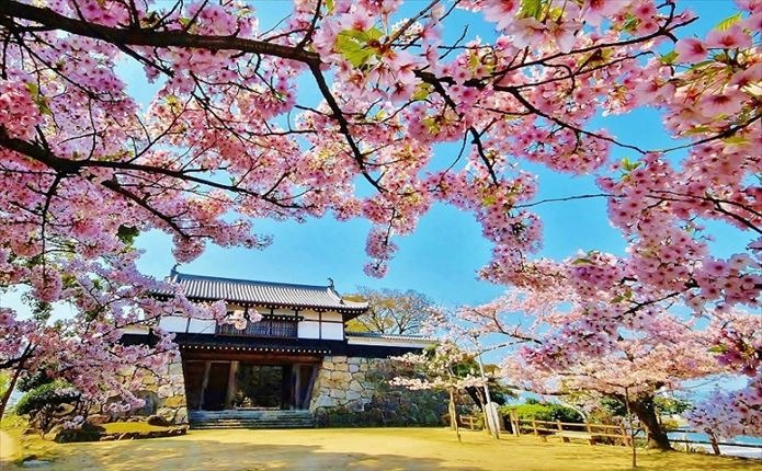 桜のきれいな川之江城までは徒歩15分