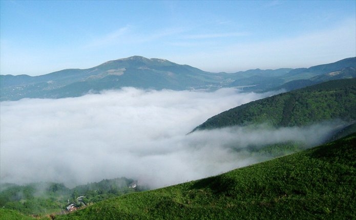 湯布院朝霧