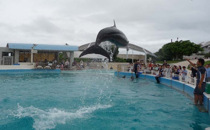 美ら海水族館