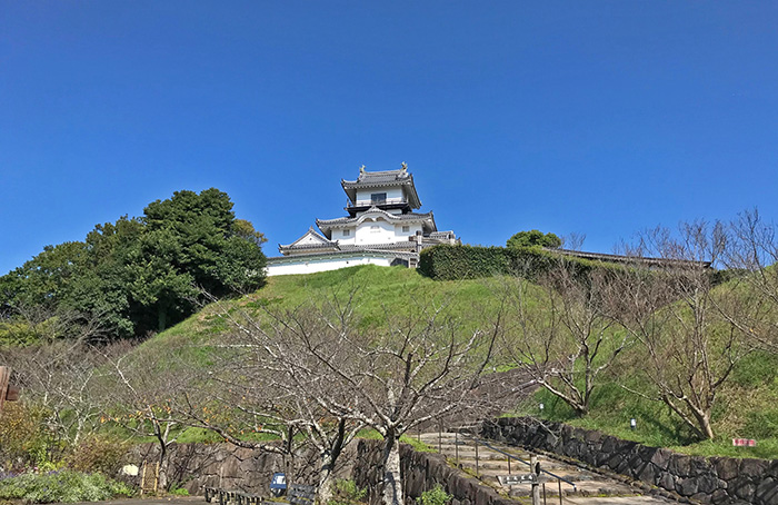 大学の同じサークルメンバーで楽しく過ごすことができました！