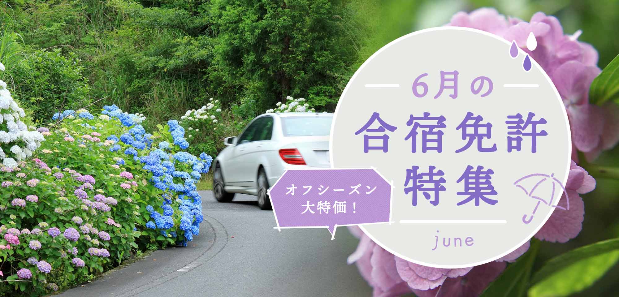 6月の合宿免許特集
