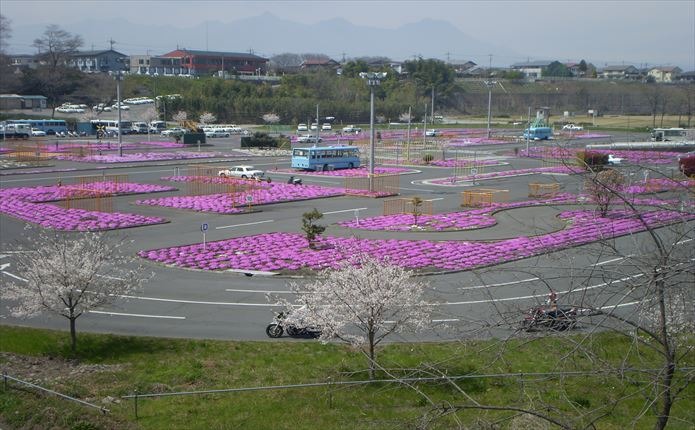 芝桜がきれいな教習コース